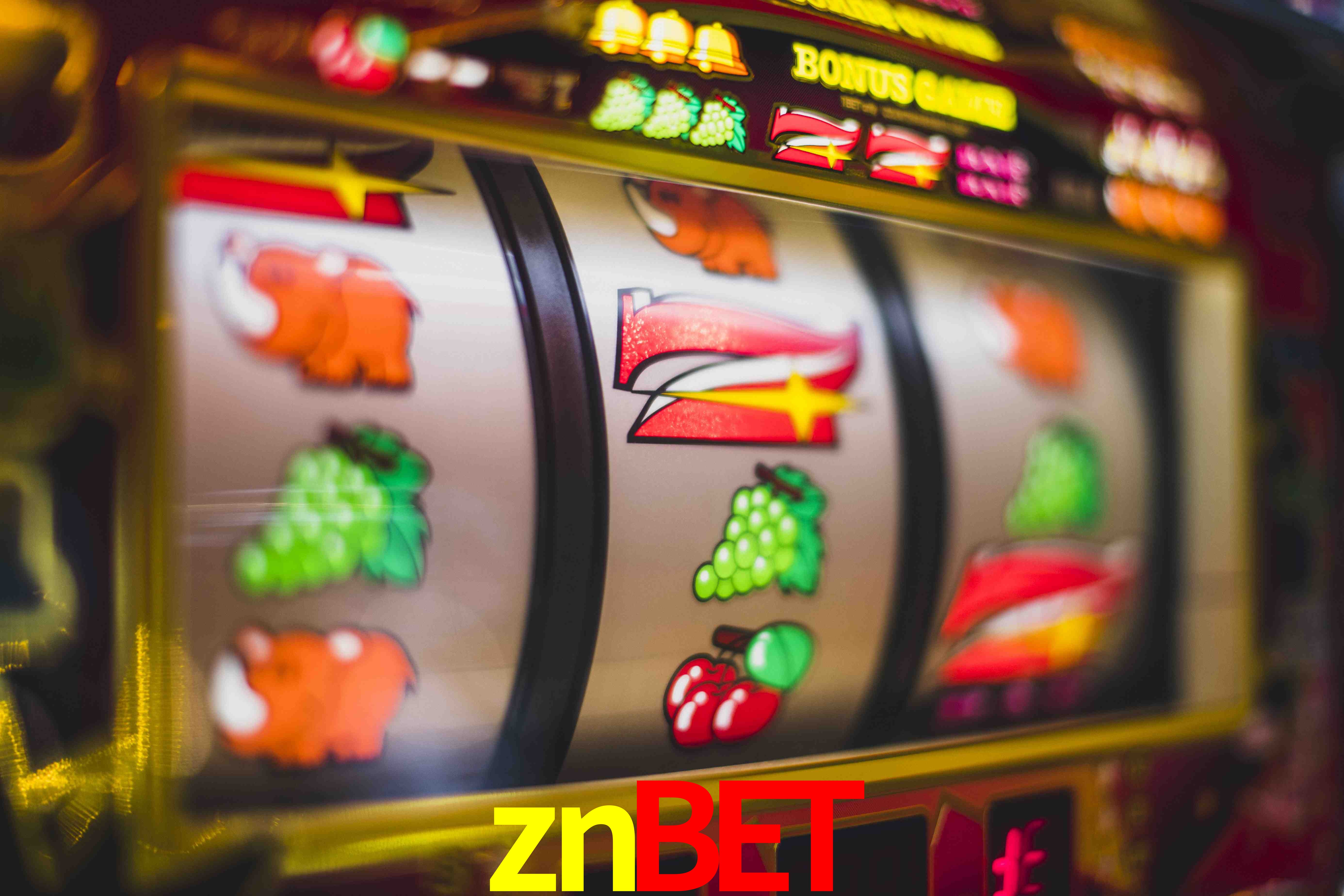 Secure Login znbet